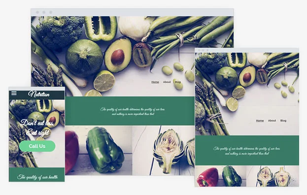 Nutrition Adviser Instantsite Theme